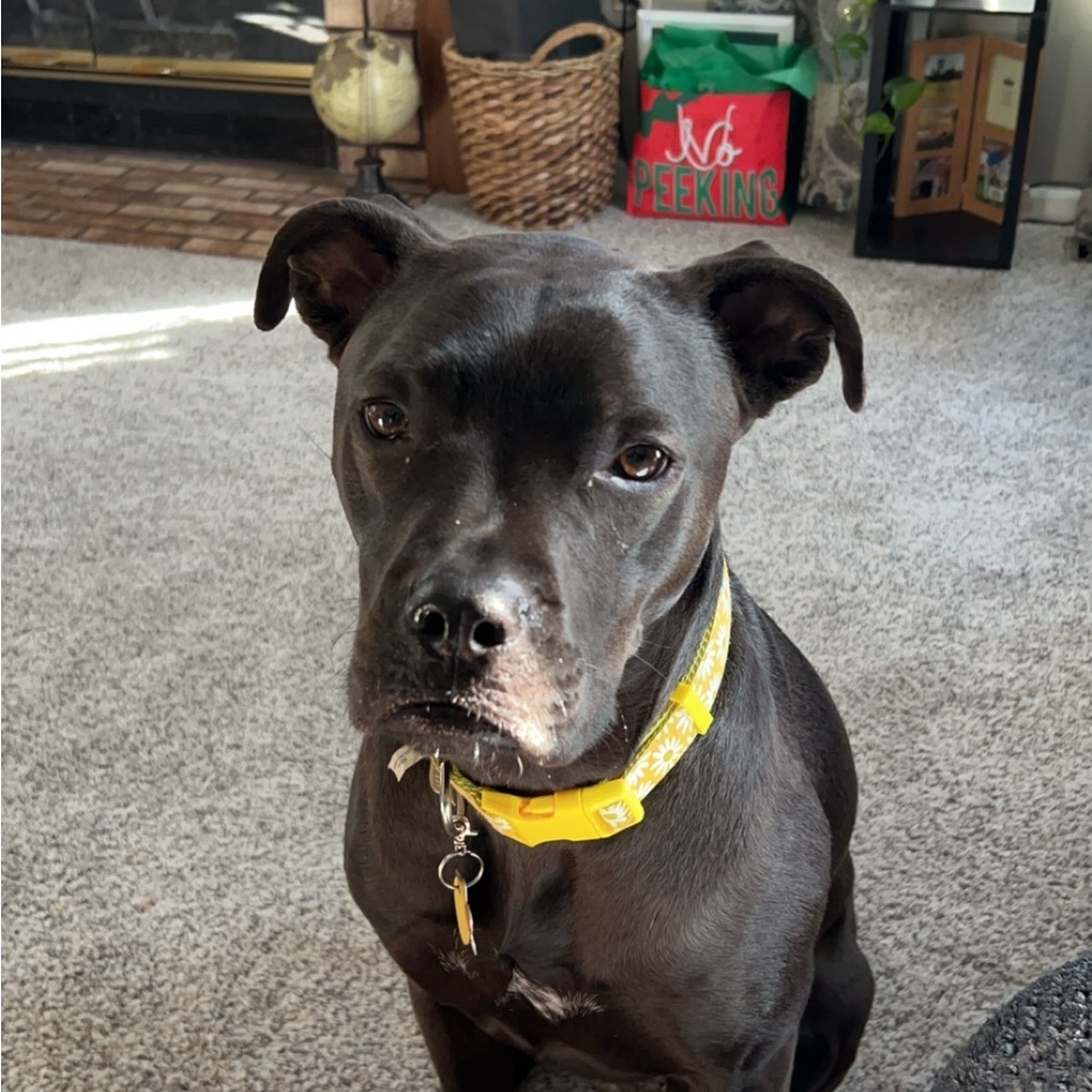 Meet your Posher, Marina